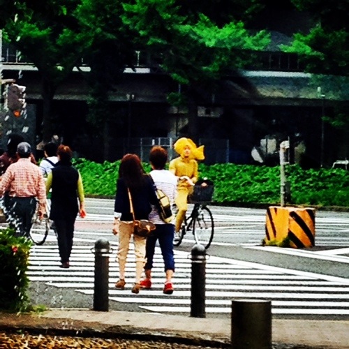 20140517-015617.jpg
