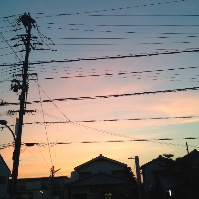 写真 3