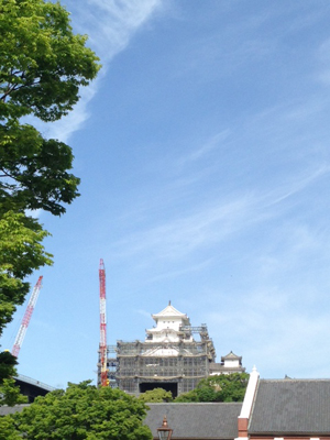 写真5