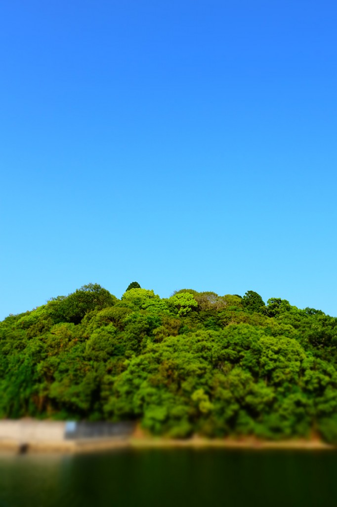 DSCF4061