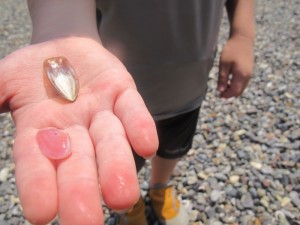 IMG_7077-1