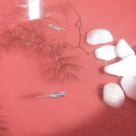 写真 のコピー_1