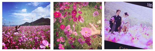 blog
