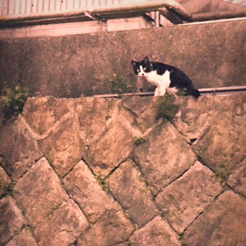 IMG_6270 - コピー