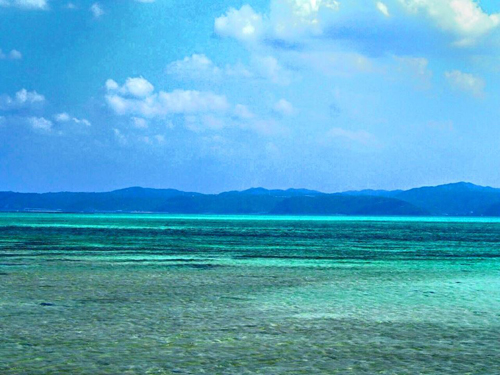 11081147_1602150640002997_8935801825914933821_n