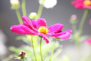 あさなブログ6