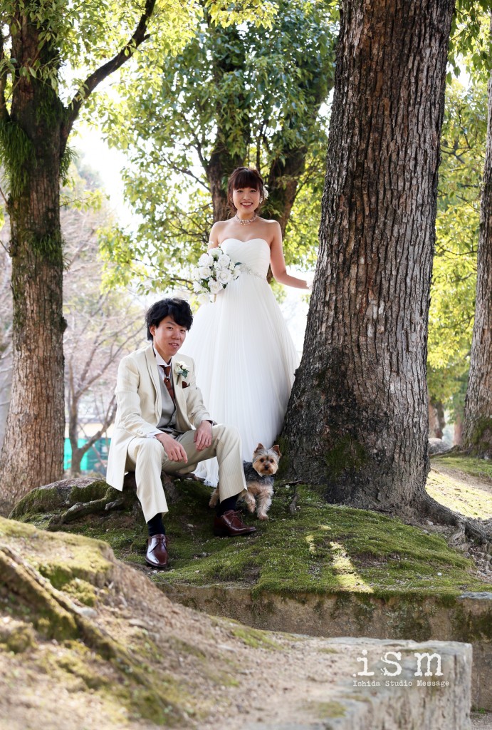 blog