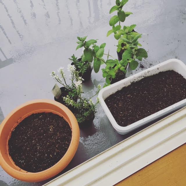 455147de-0f64-4777-a151-fcd66a0efbf2