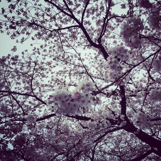 blog3