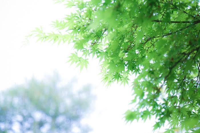 unnamed (5)