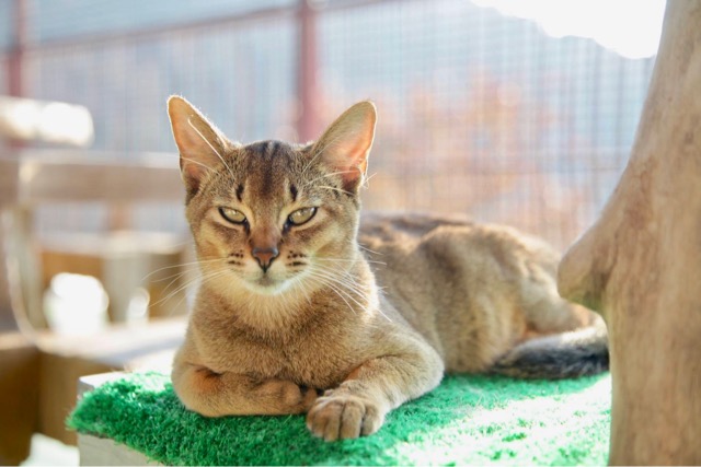 EABE3557-A976-4EFC-876B-115CEBF16FD1