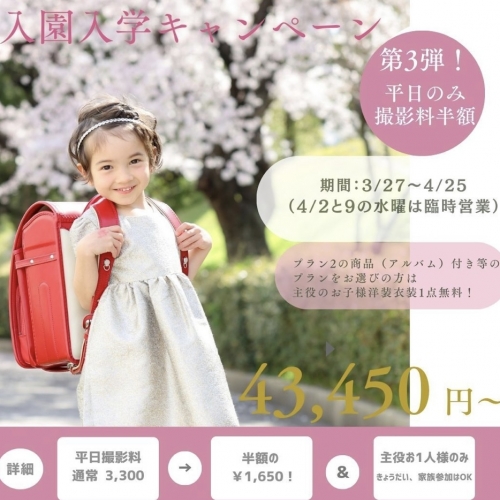 🌸🌸第3弾！平日のみ撮影料半額キャンペーン！🌸🌸
