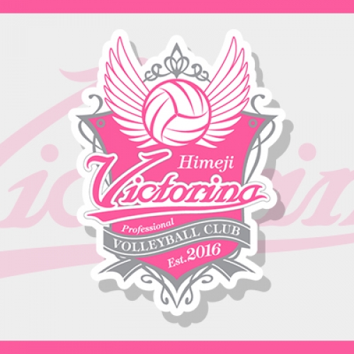 フォトスタジオismはヴィクトリーナ姫路を応援しています！